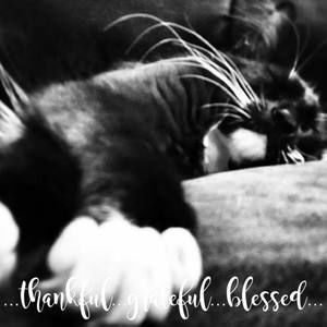 Meet your Posher, Kellie